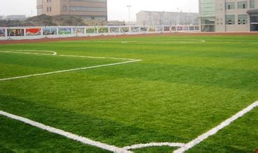 幼儿足球场人造欧洲杯体育平台草坪铺装报价（内附详细说明）